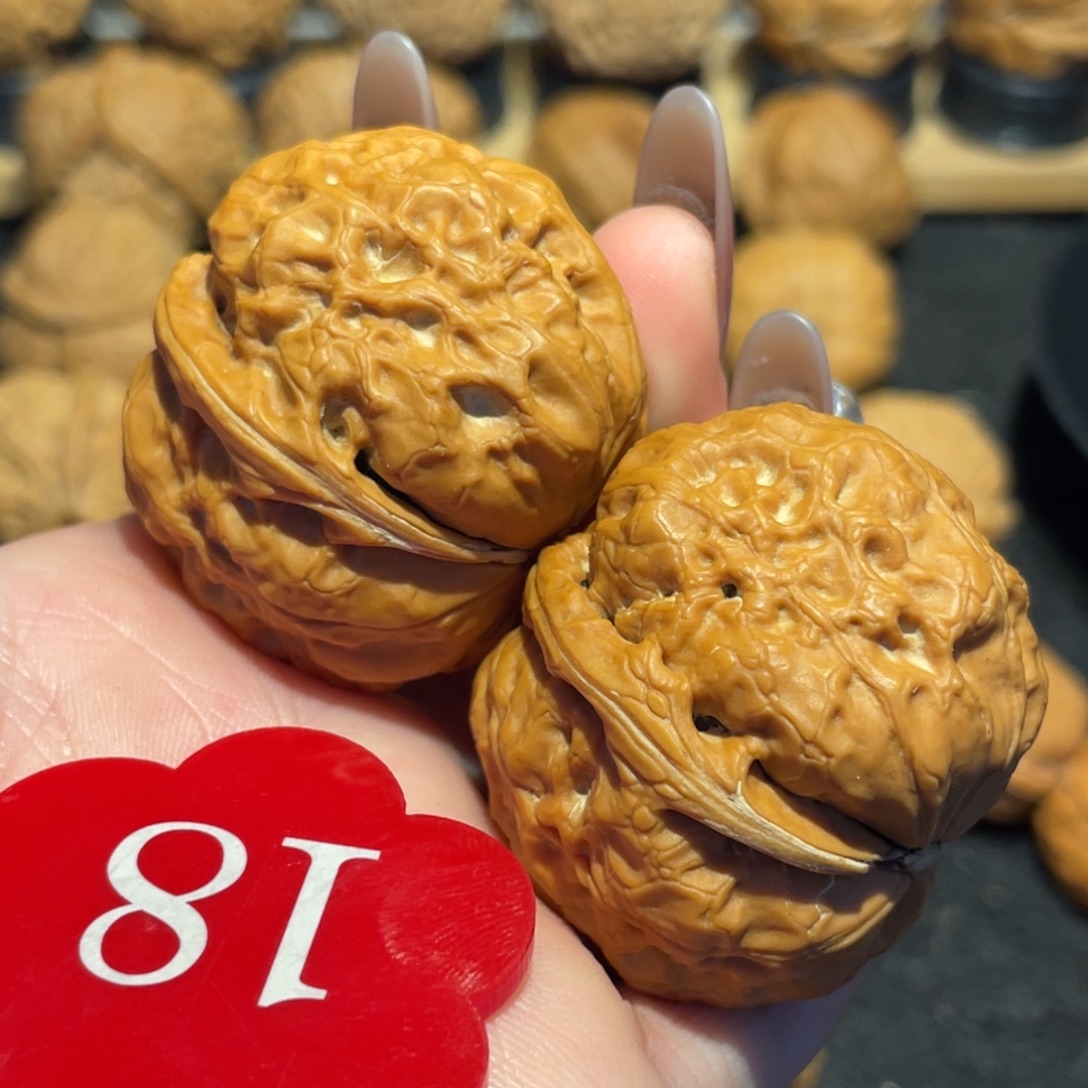 平头蟾核桃40。     