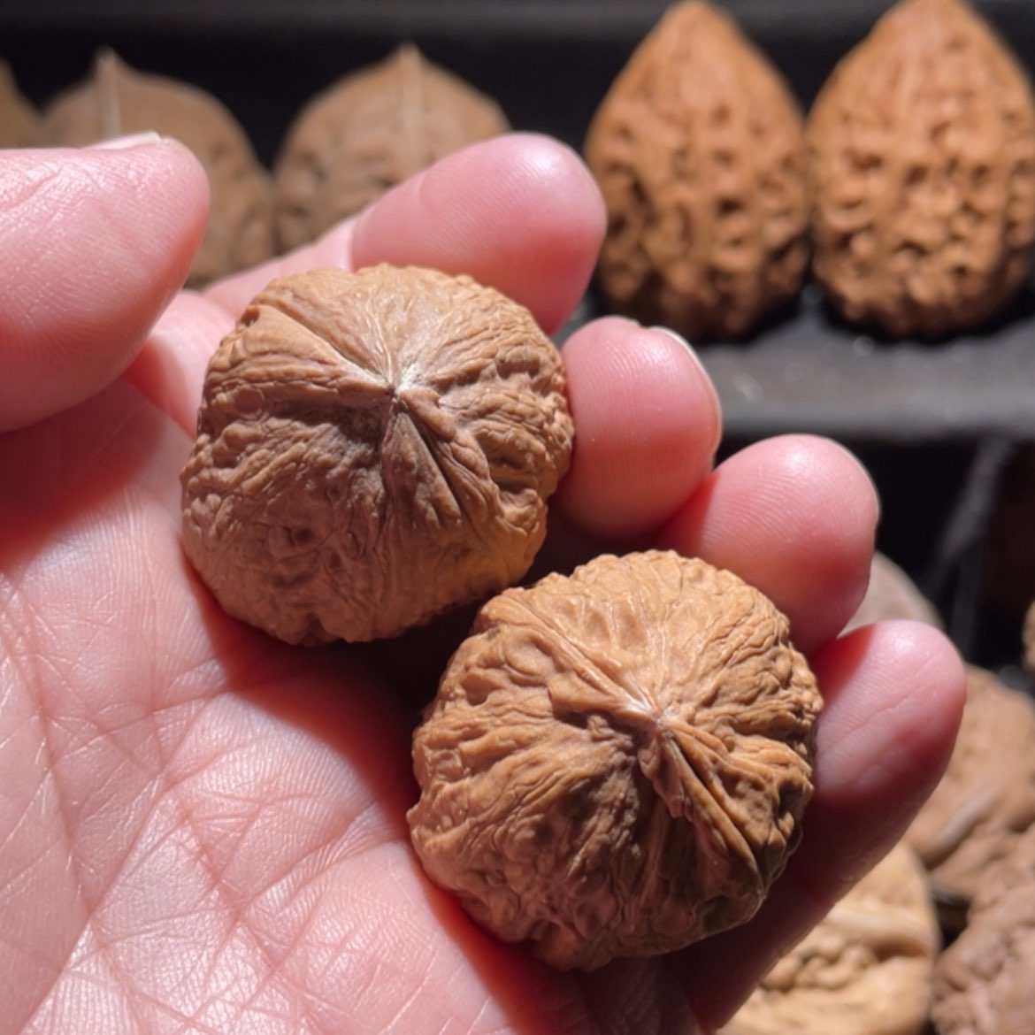 【闪购商品】文玩核桃吊坠东北楸子6