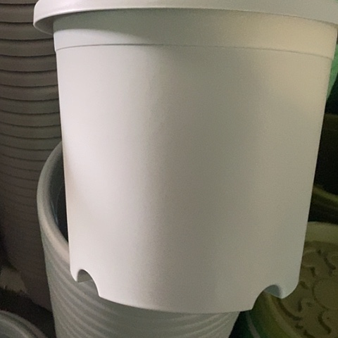 树脂四季5号微瑕灰白无托6个