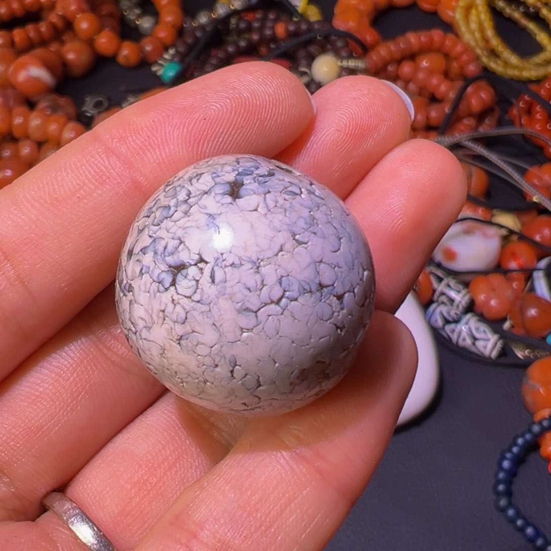 大果紫檀（缅甸花梨）哥*！