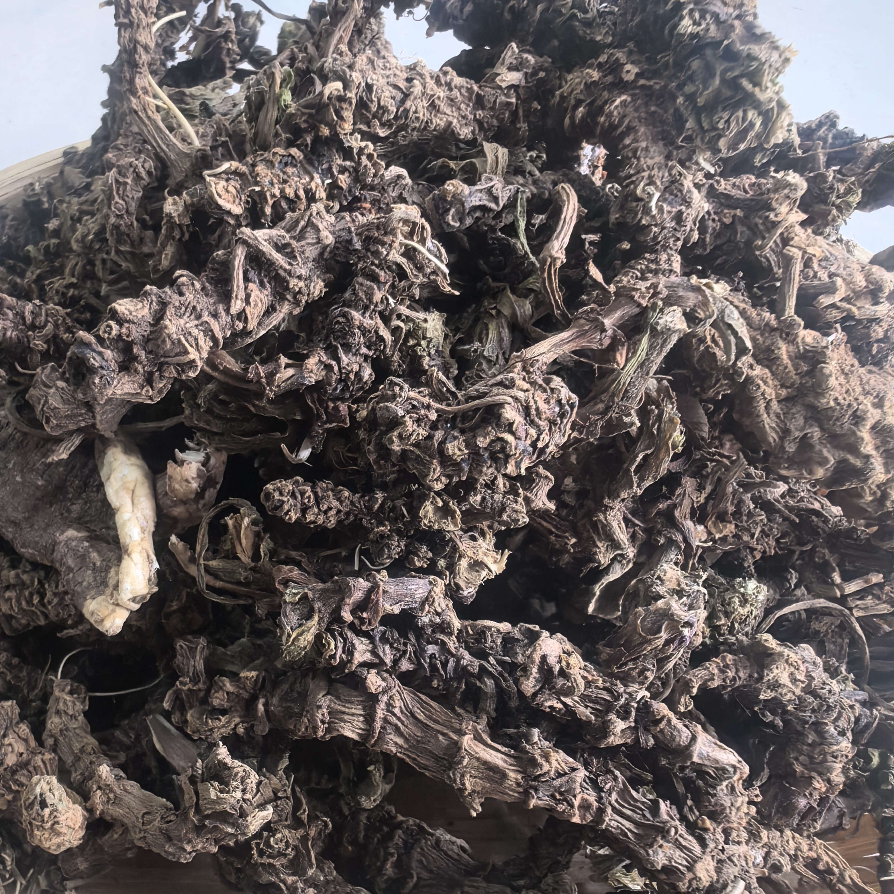 【阿海精选】土特产马蹄香