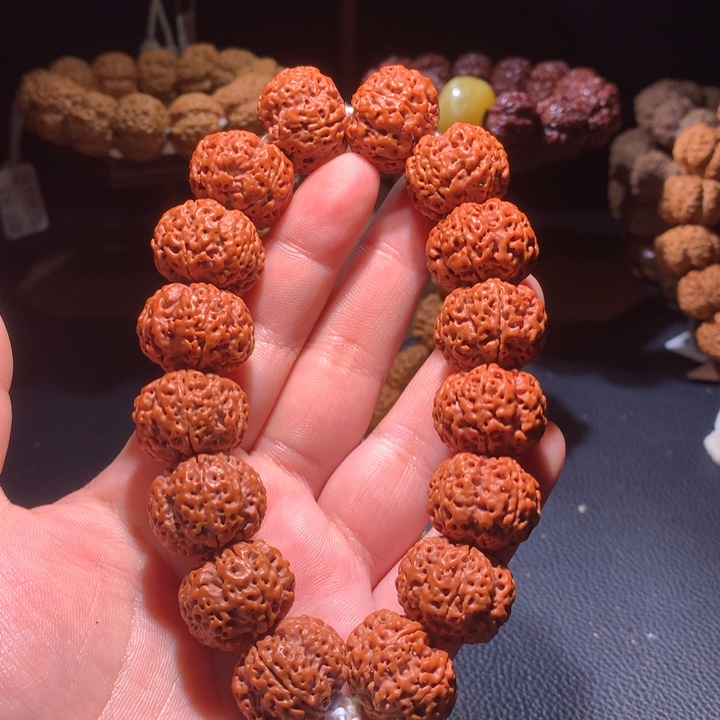 菩提籽类22+五星双龙定制