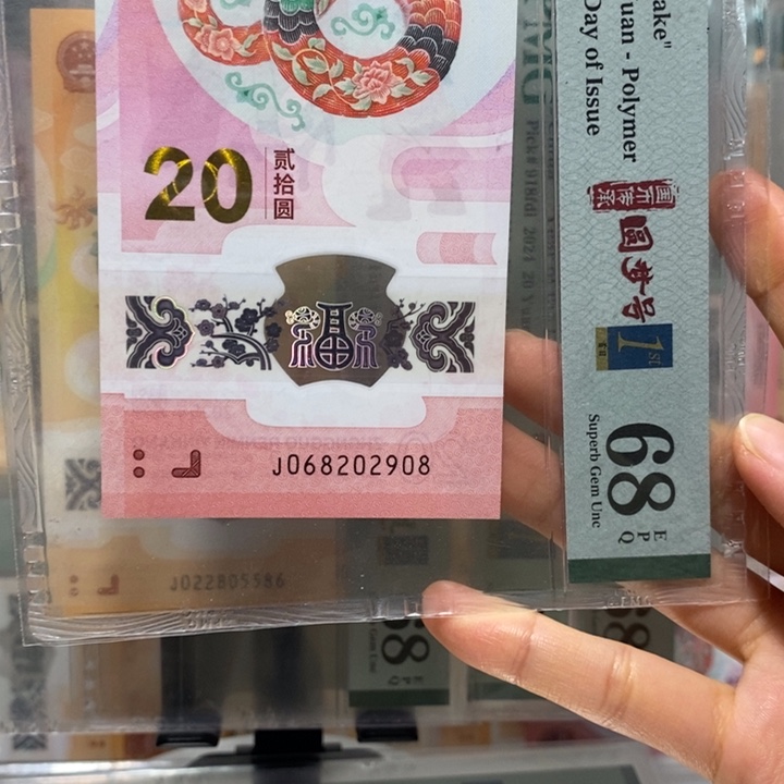 蛇钞龙珠号四标合一