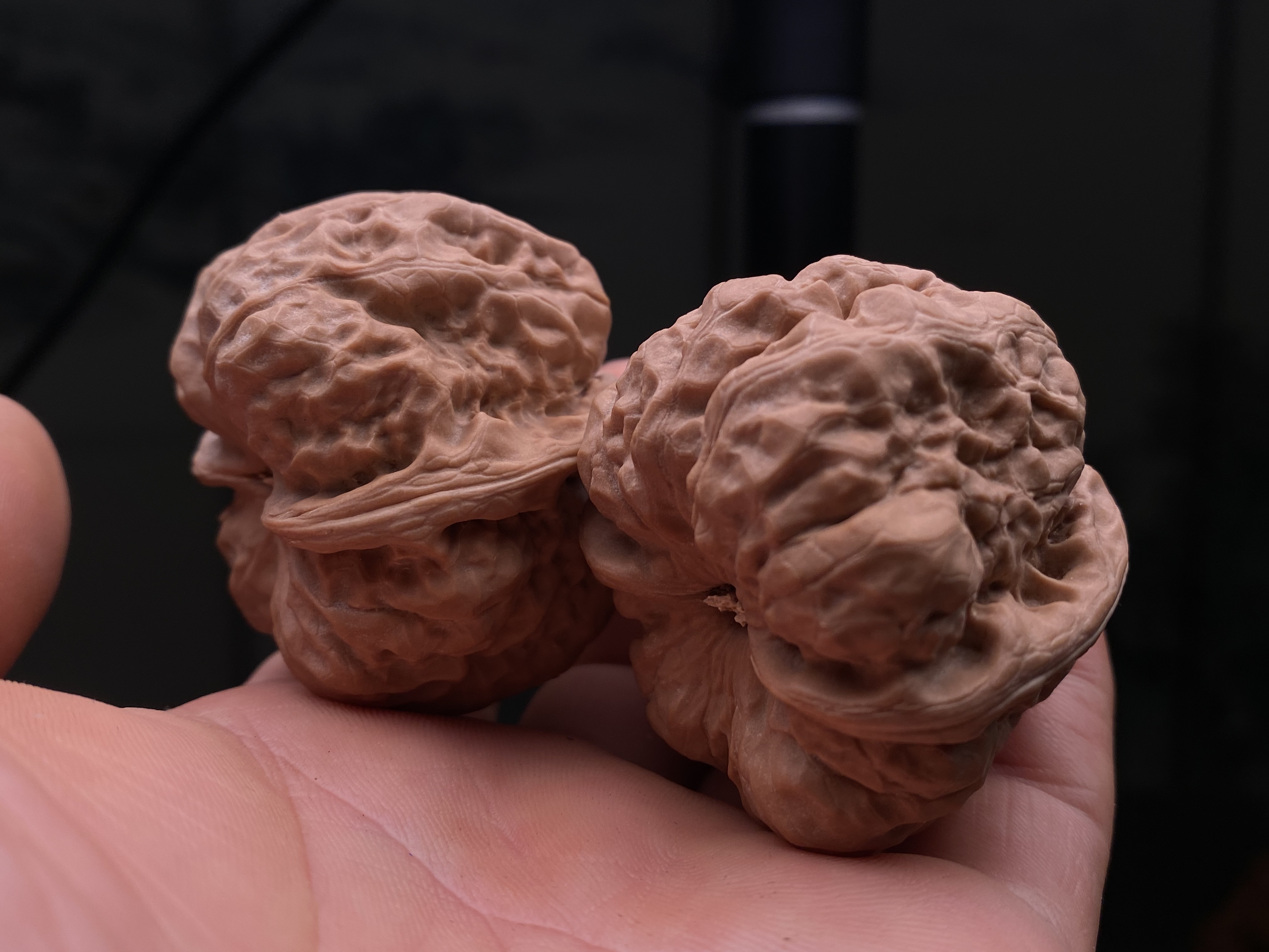 编号25204，边43肚46，延庆一代蛤蟆头，高桩大粗棱，克重打手！