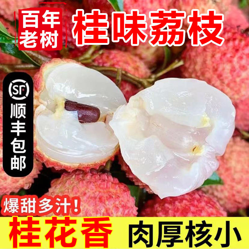 广东茂名高州桂味荔枝新鲜现摘现发当季水果顺丰冷链包邮1斤/6斤