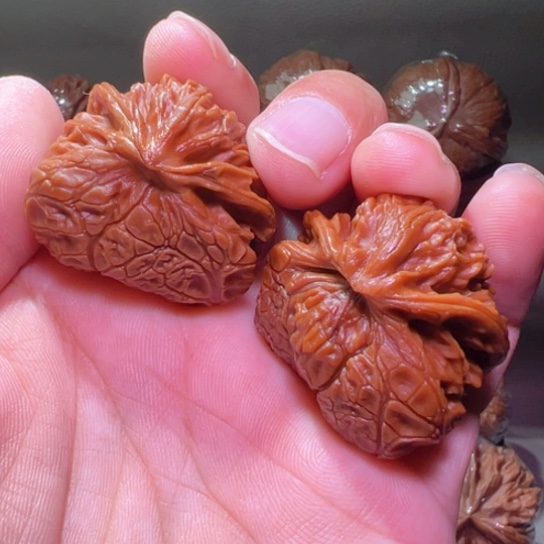 把件文玩核桃极品宫灯正勾眼镜蛇37边