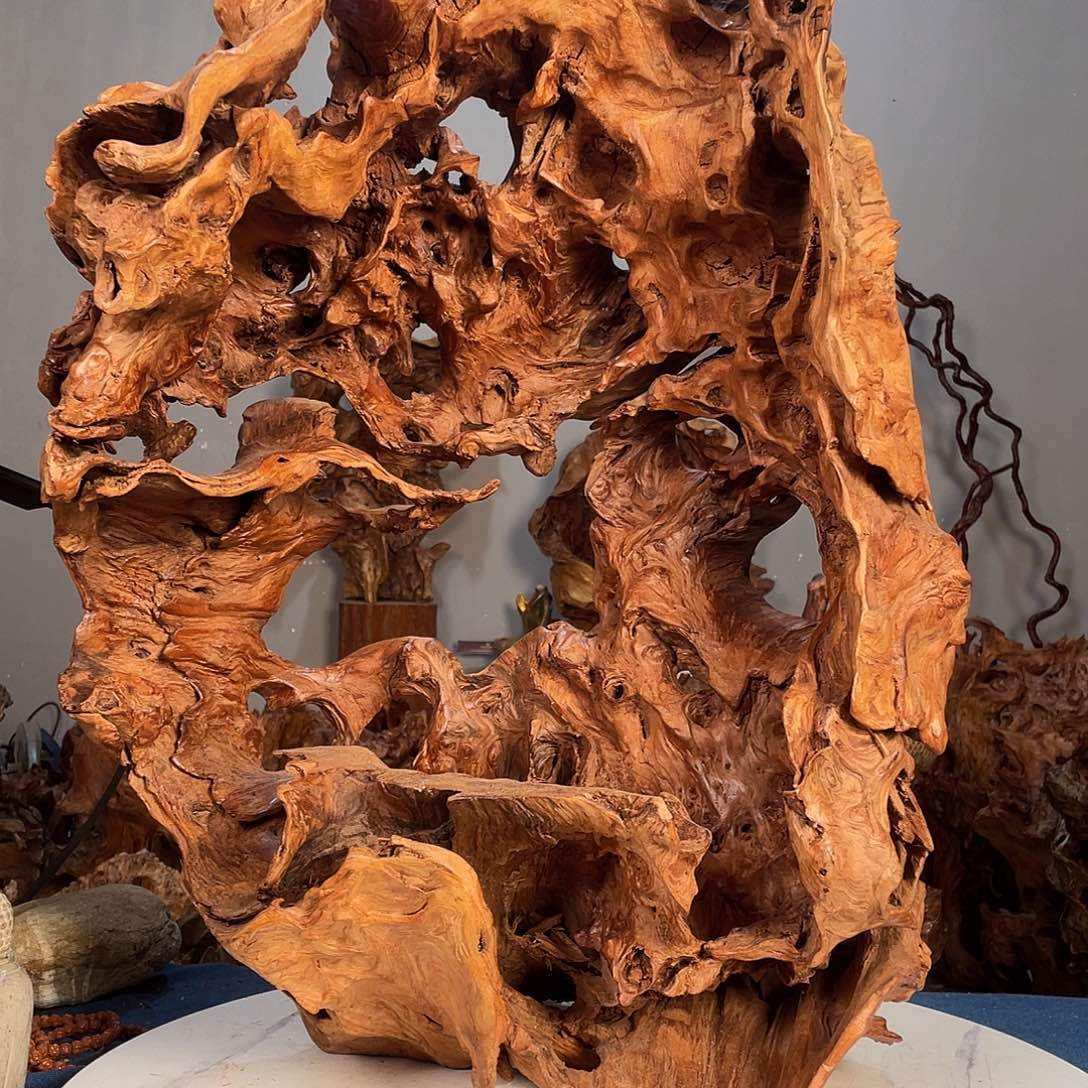 香榧木金**木1234566778