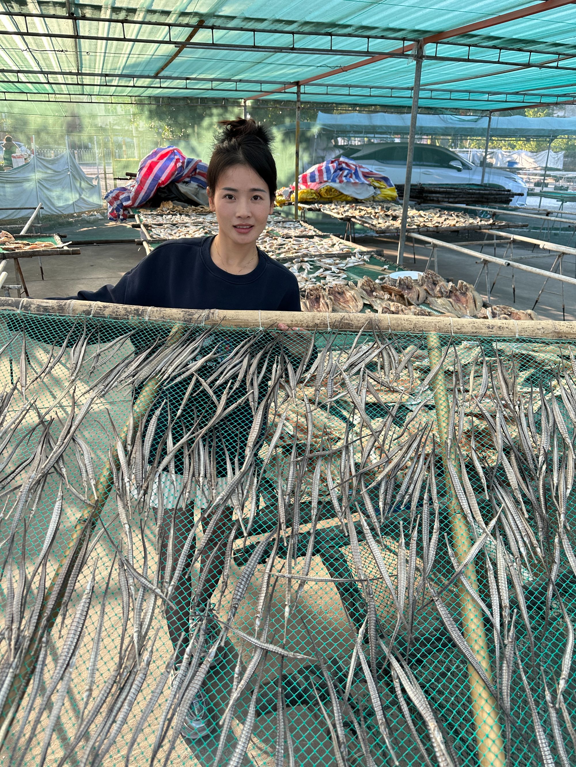 湛江六角海龙干【10条5对】