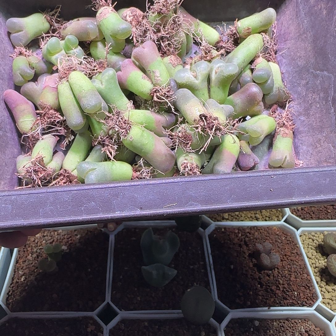 b***~哈哈哈哈哈哈哈哈908