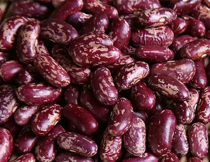 贵州威宁老品种新花红豆酸汤红豆酸菜红豆四季豆