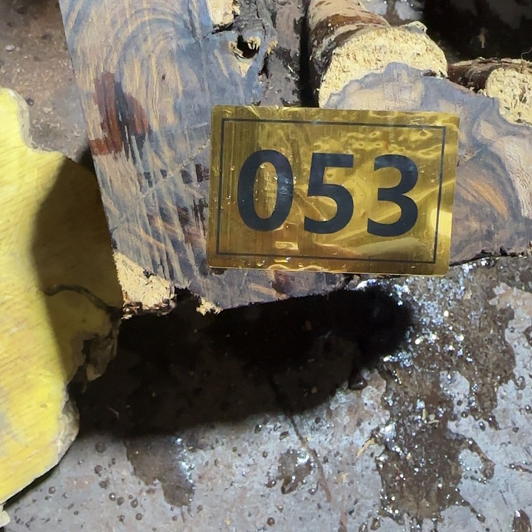 毝***四东非黑黄檀（紫光檀）053