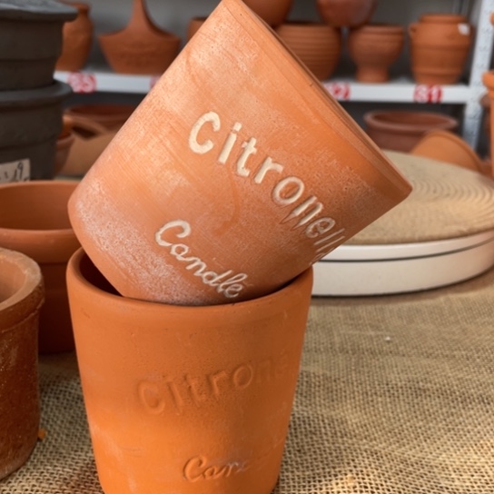 红陶11×11拍一发二