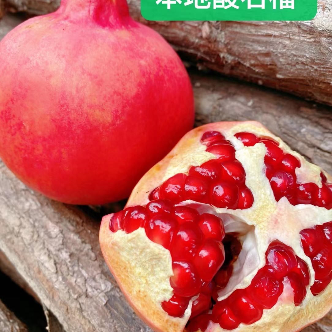 云南省红河州蒙自市甜石榴和酸石榴包邮