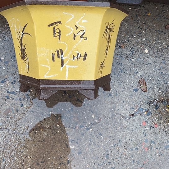 步***升紫砂花盆透气花盆