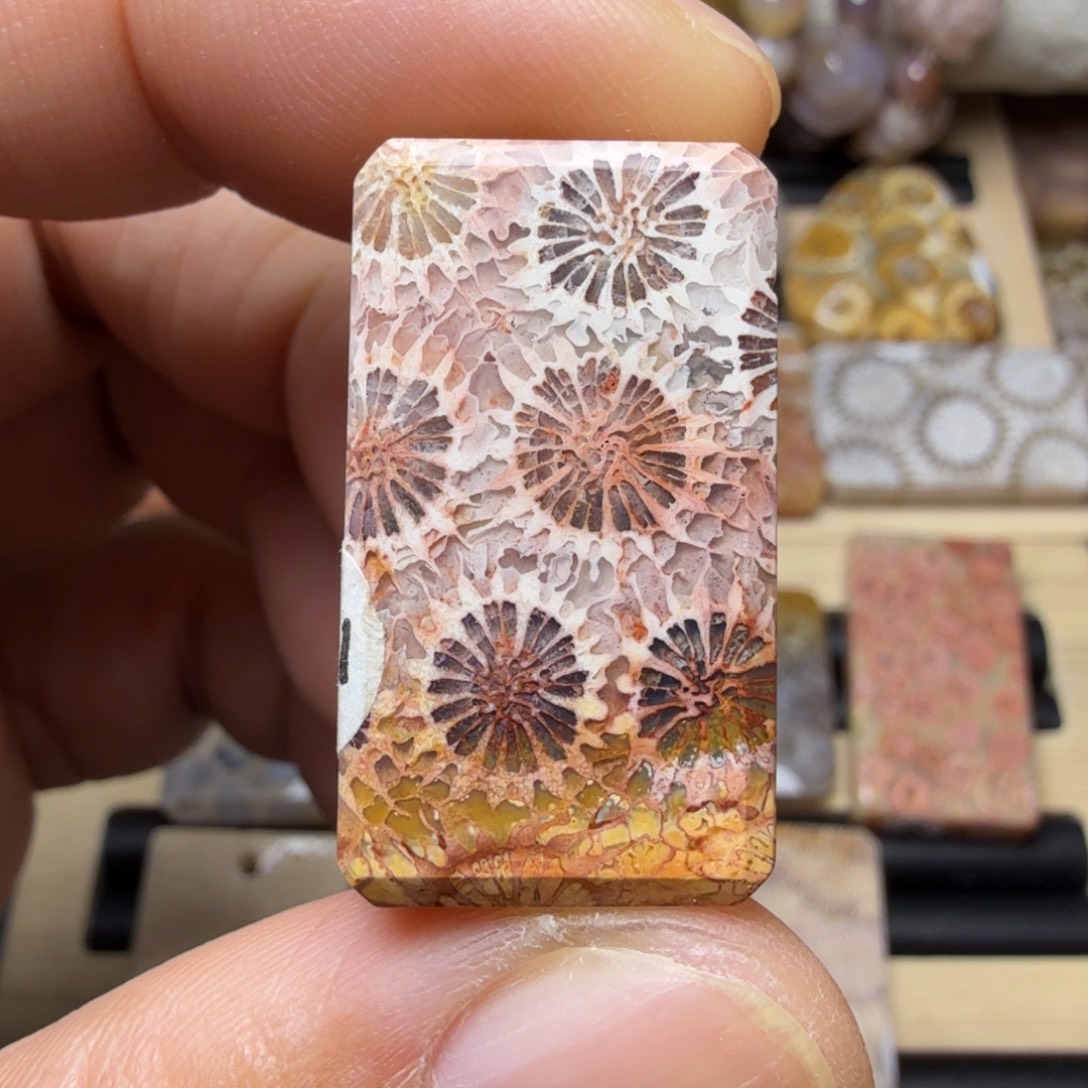 硅化玉未镶嵌天然色有机玉石保真色