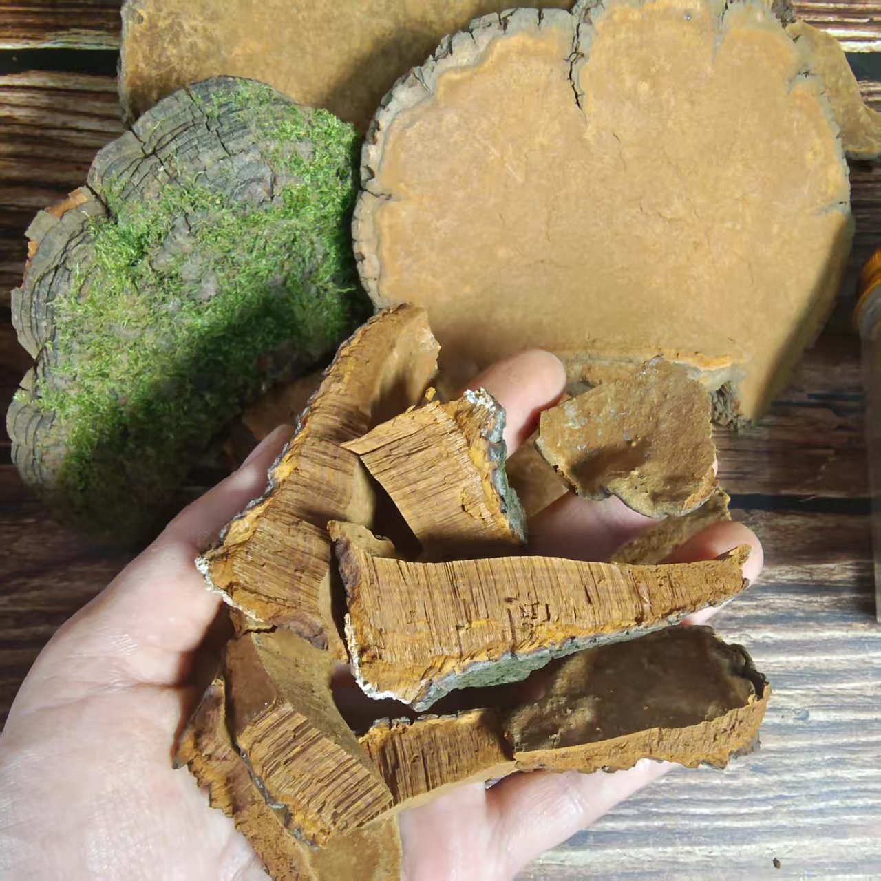 东北特产 多年生大黄 纯野生金边大黄100g 代切块