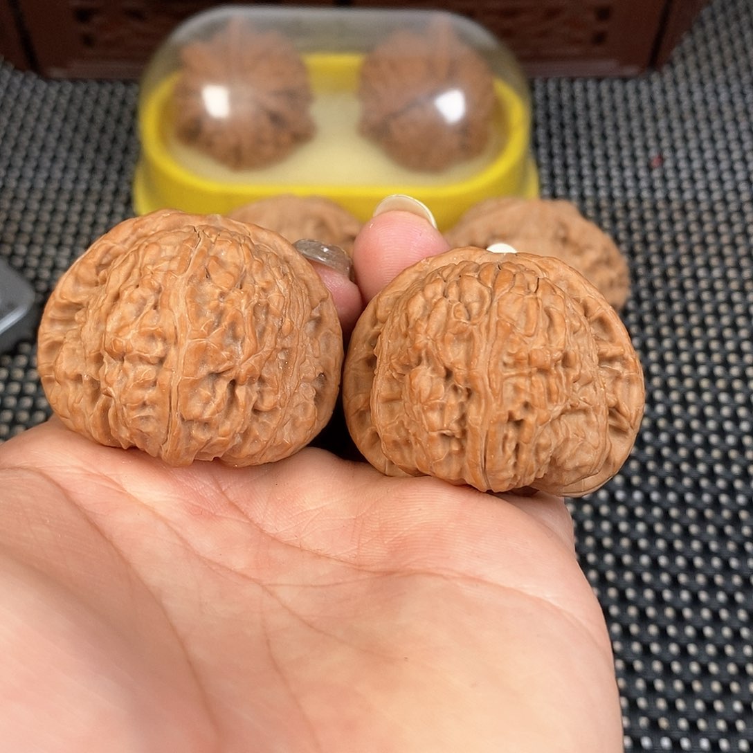 文玩核桃把件40尺白狮子全品