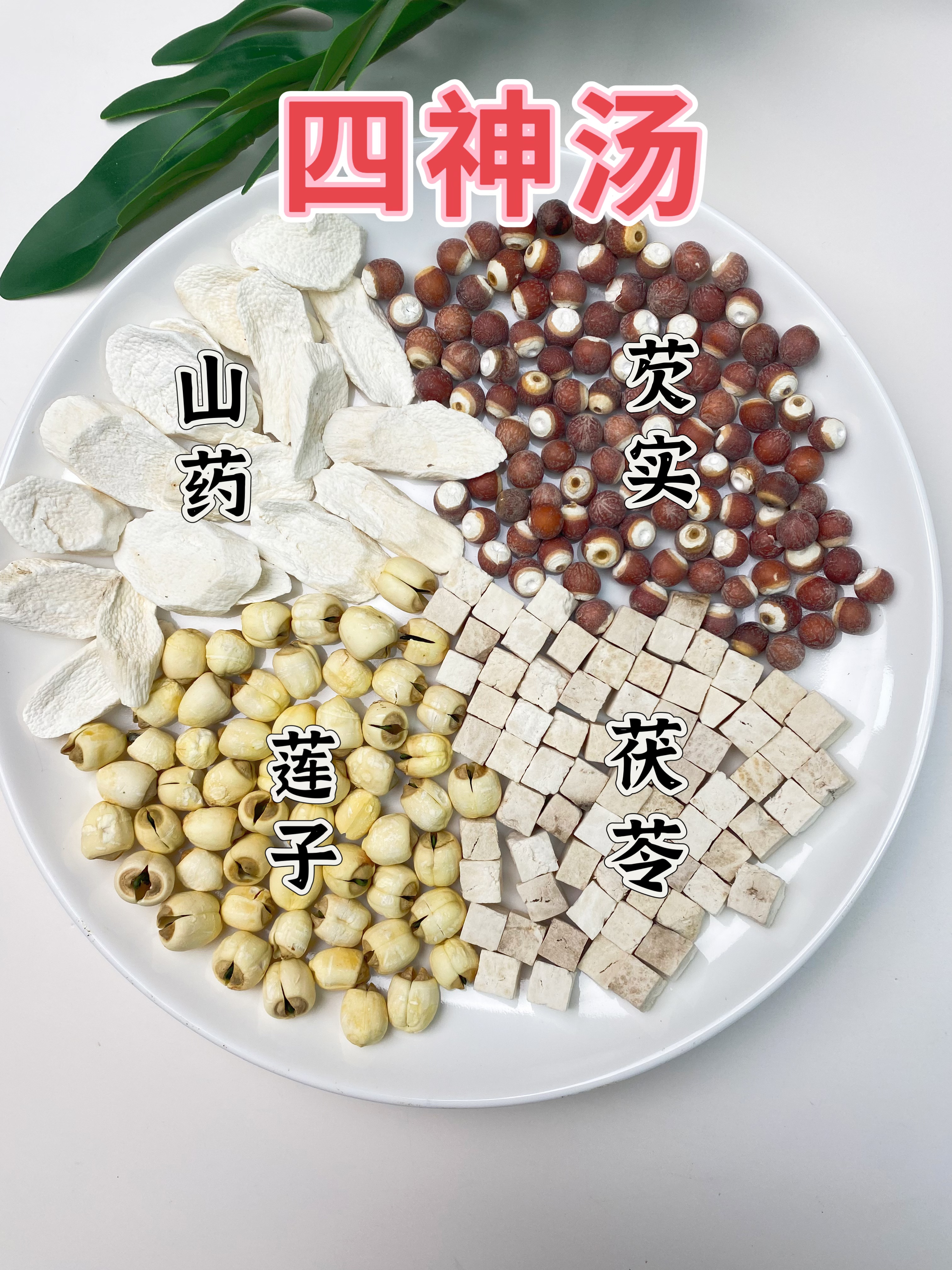 【四神汤】莲子 芡实 茯苓 山药 成人儿童可煮水煲汤喝