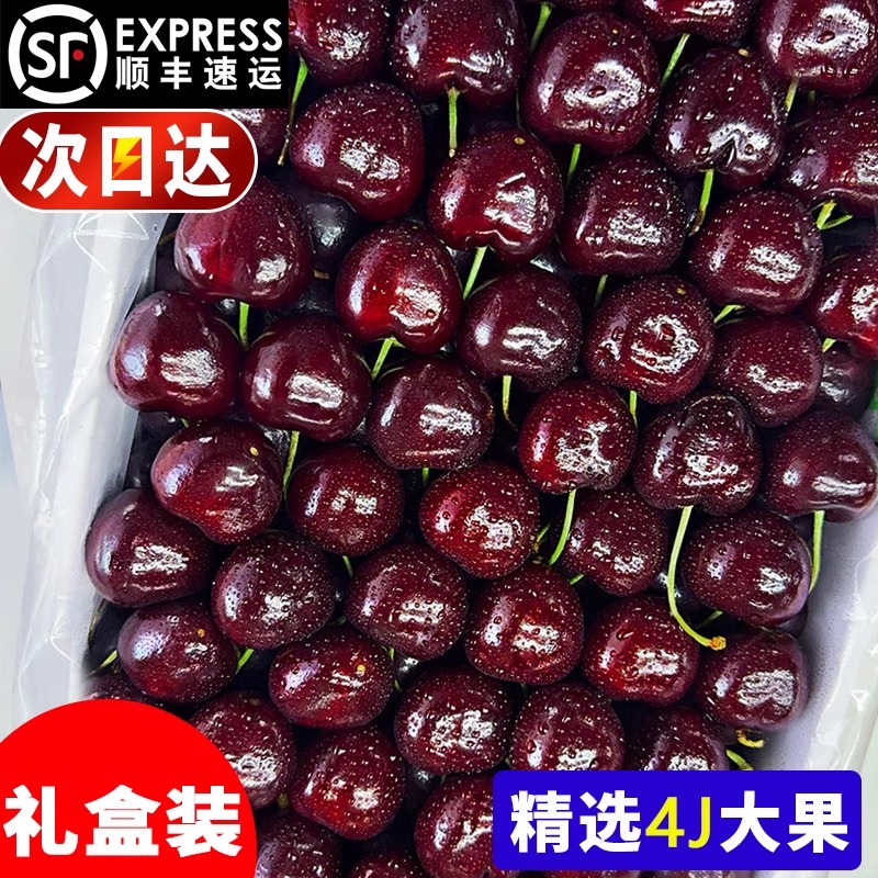 原箱5斤 拉宾斯智利车厘子【XP】海运孕妇新鲜水果J~4JD 内附果径卡