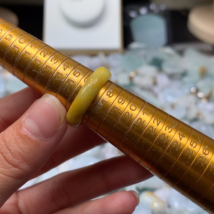 翡翠未镶嵌颈饰挂件