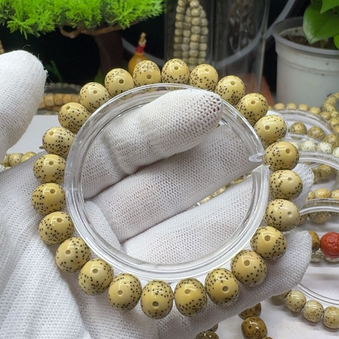 星月菩提手串喵/11原生态