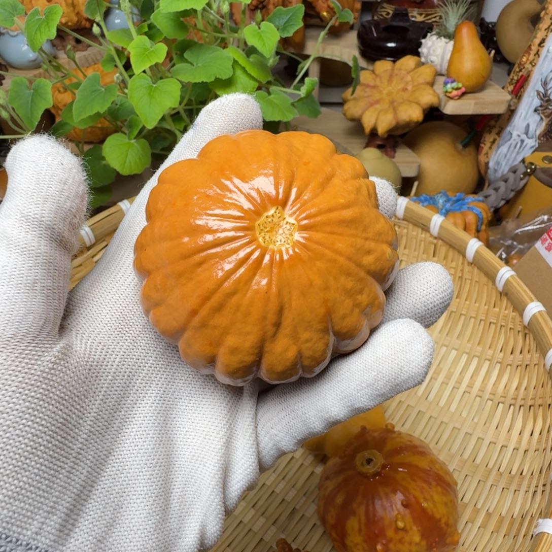 池*镜特价葫芦不退不换