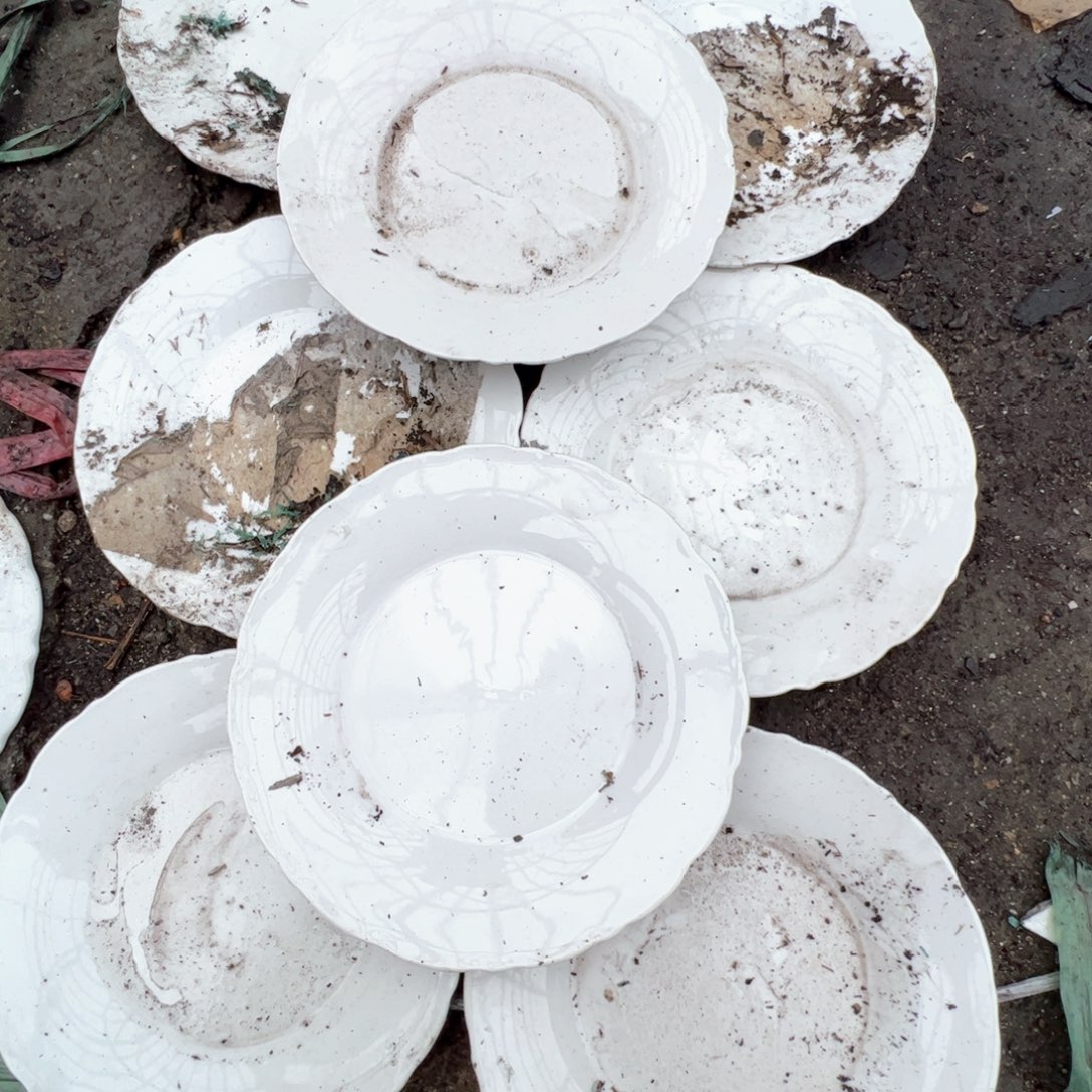 瓷景德镇高温陶瓷7.5寸菜盘8个