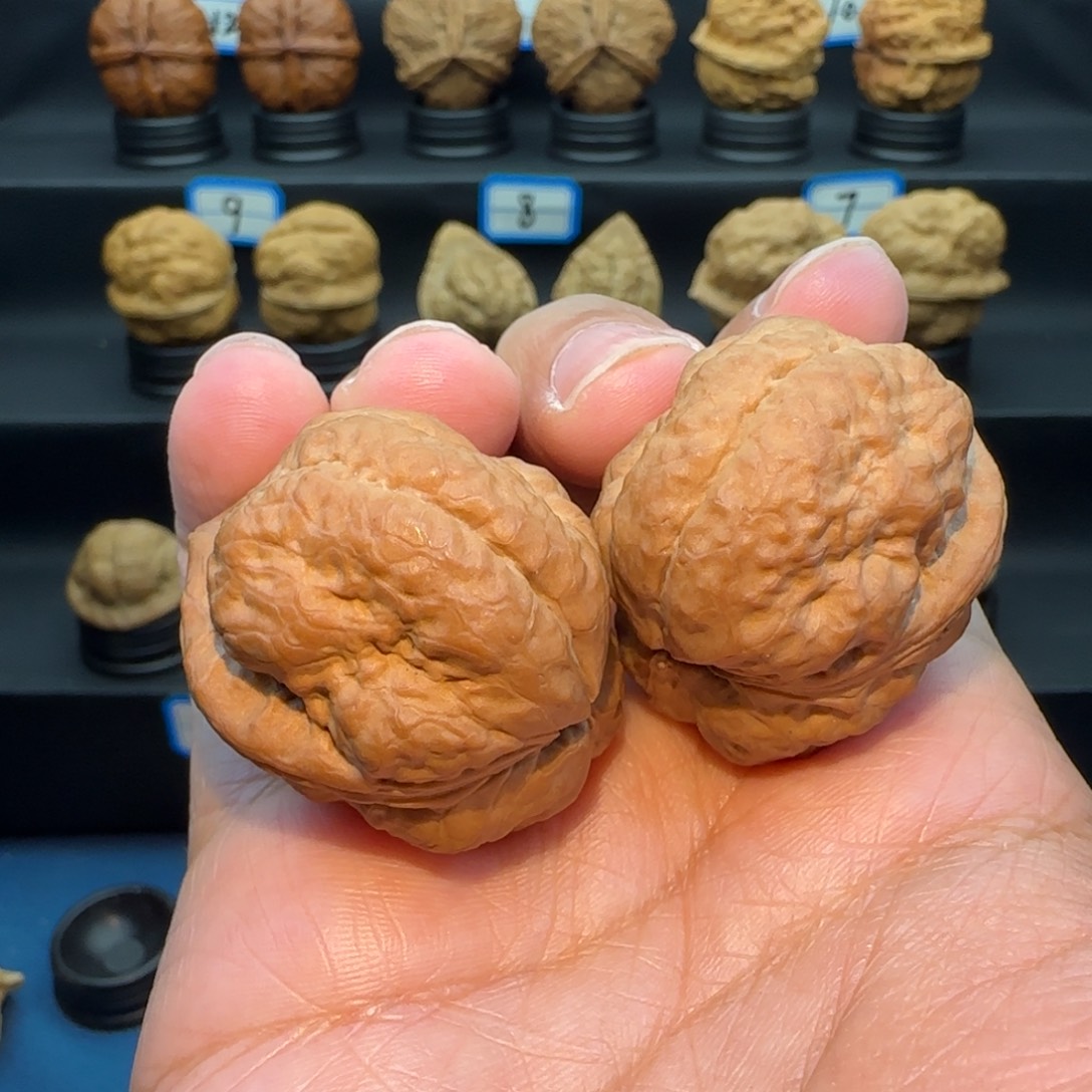 记***事把件桃核大羊头蟾