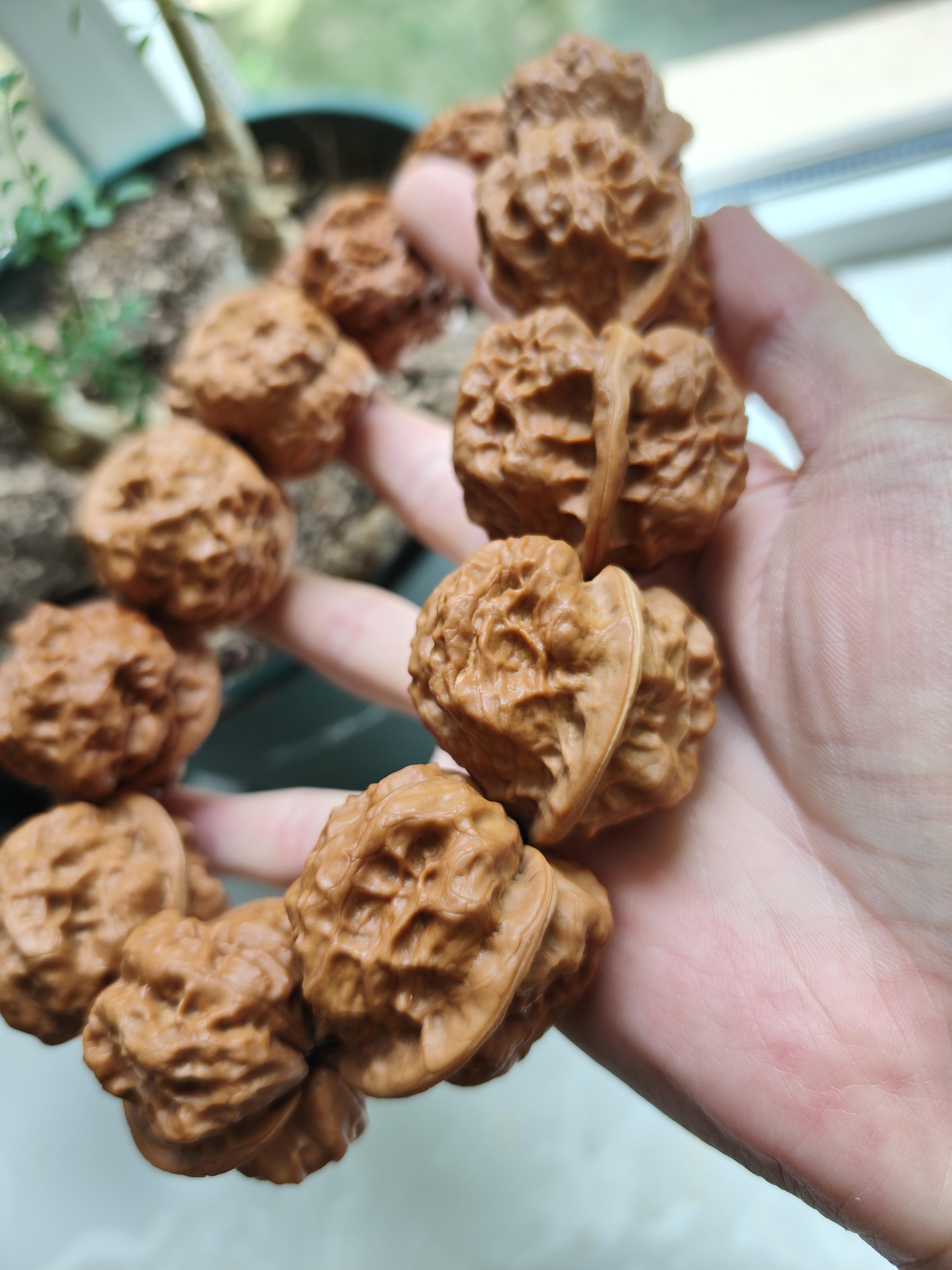 37云南铁核桃聚宝金蟾12粒带油阴手持蛤蟆头手串水晶皮偏棉