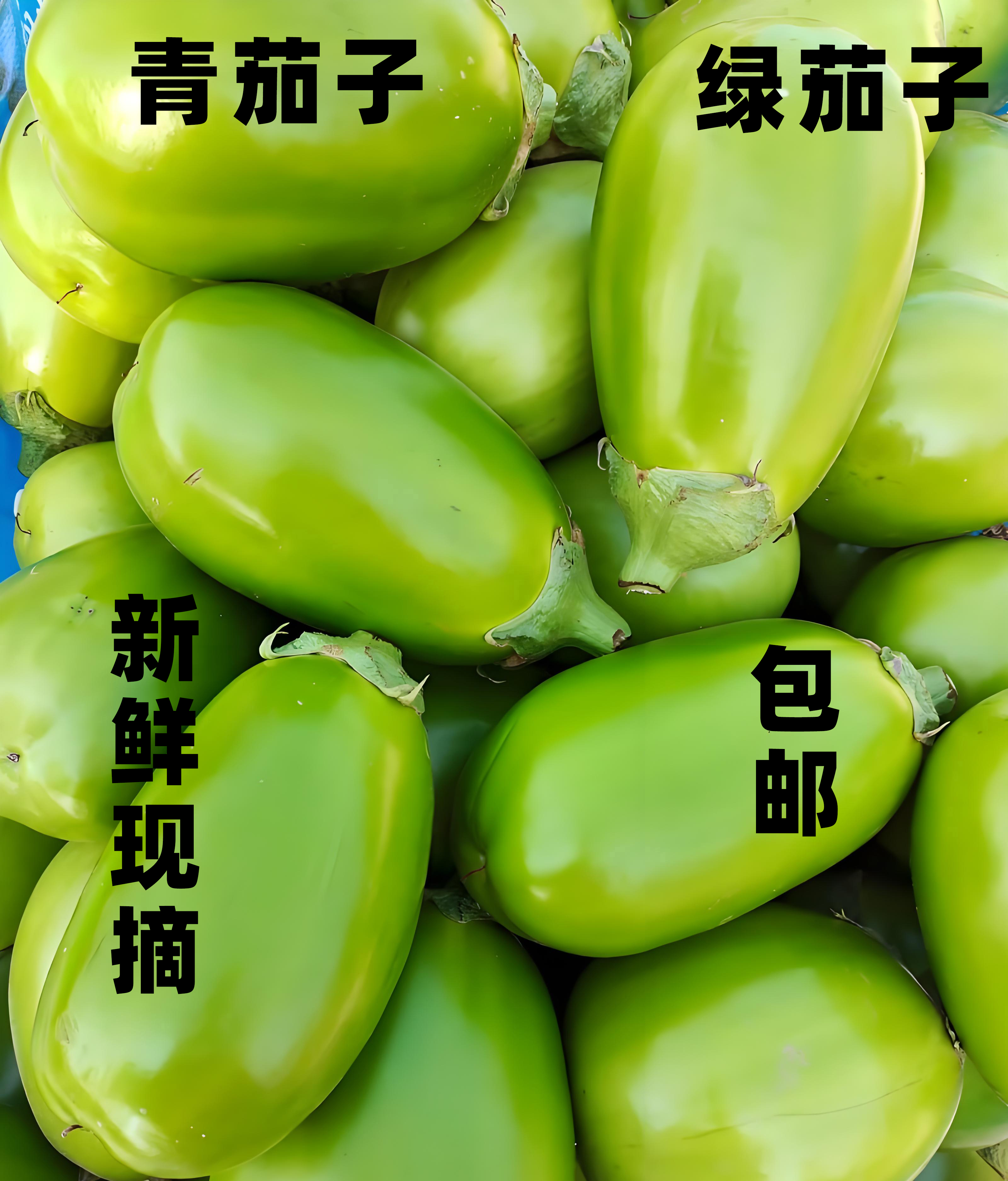 河南特产现摘现发新鲜绿茄子圆茄子新鲜蔬菜绿皮茄子