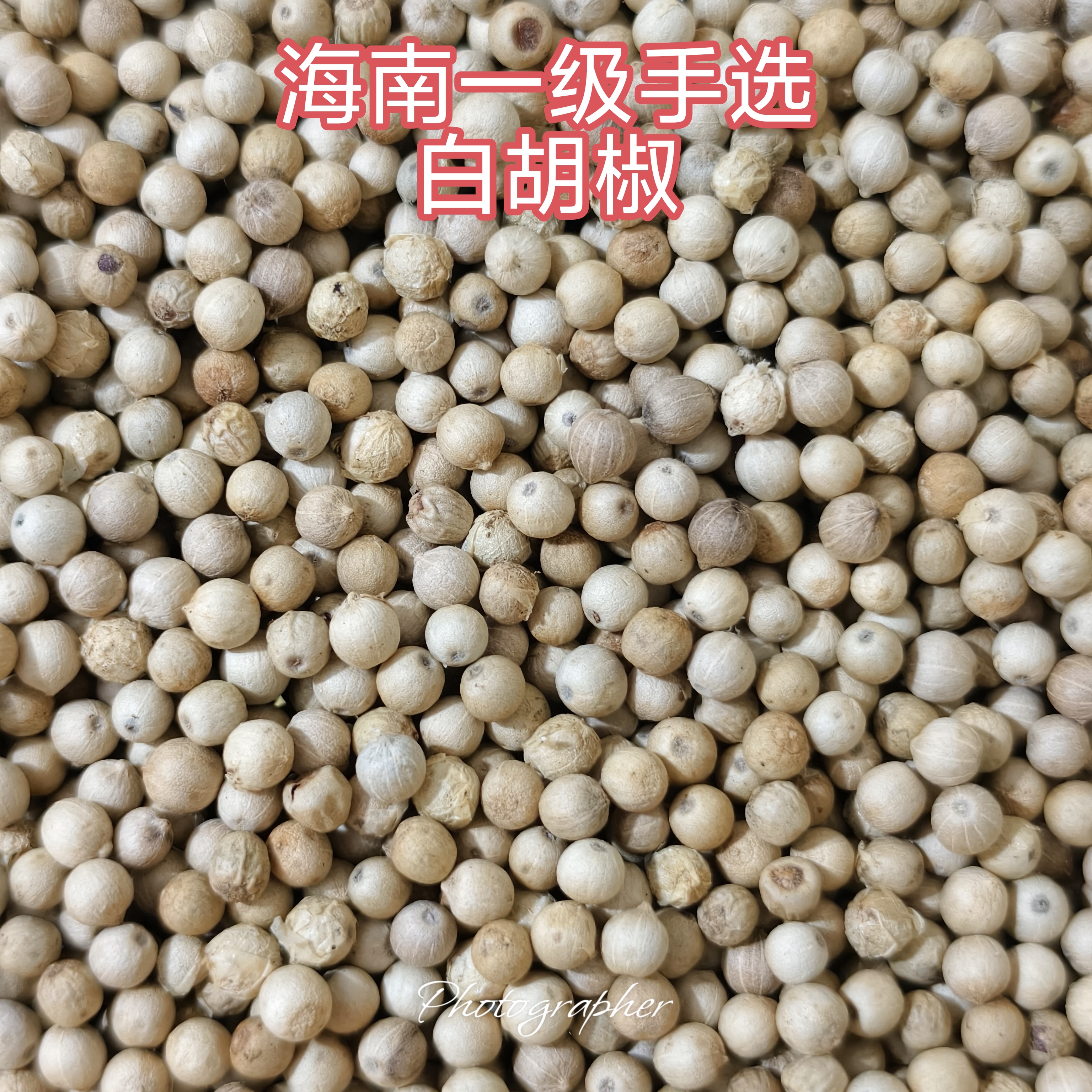 海南一级手选白胡椒粒无硫无漂白顺丰包邮下单送 30克(粉)体验装