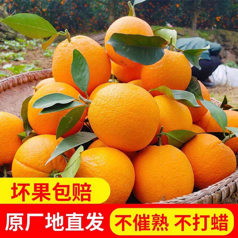 新鲜赣南橙子XPZ江西赣州甜橙产地直发正宗赣南脐橙当季水果鲜嫩