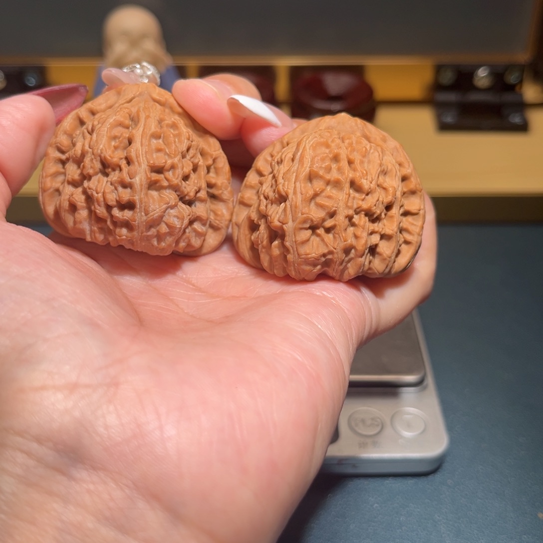 文玩核桃把件白狮子42