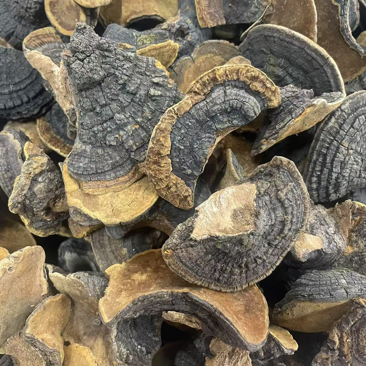 【大海干货】桑双黄黄 花胶