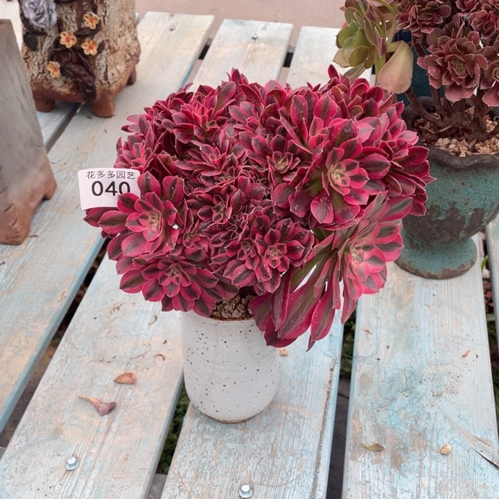 40号粉女巫法师缀花