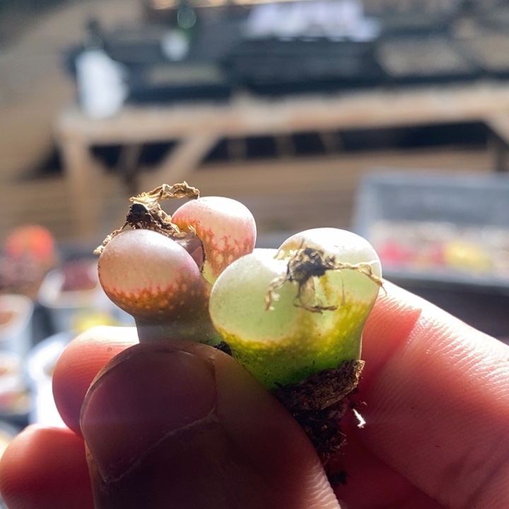 23234一组一组一组