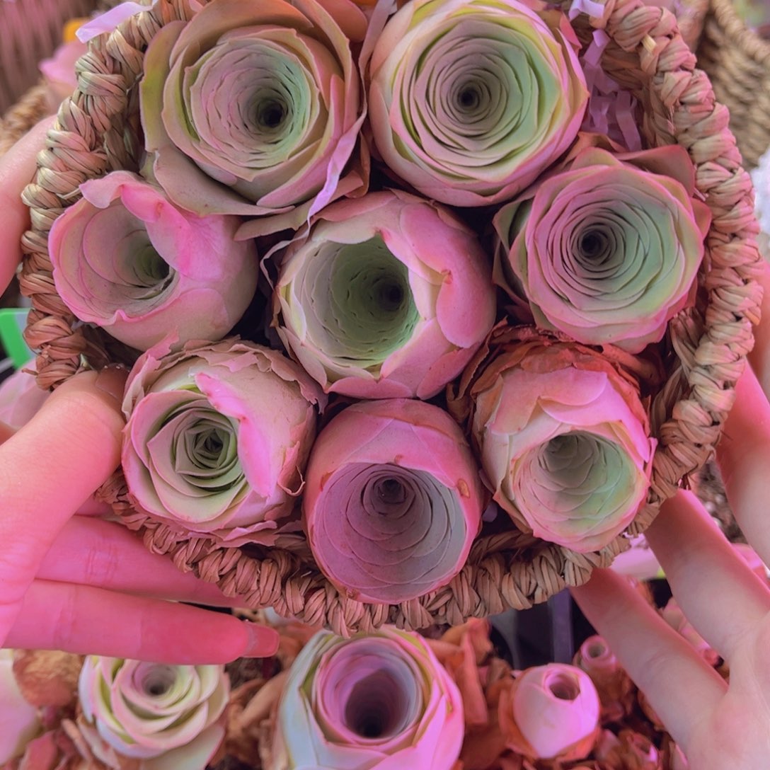 花篮一物一拍062号