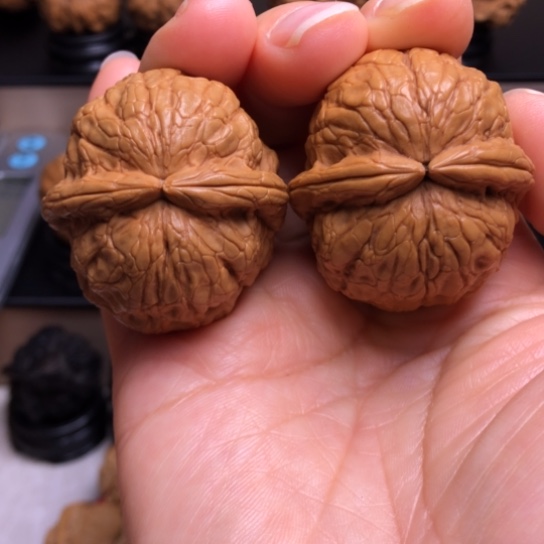 文玩核桃把件稻***?金龟玉甲59