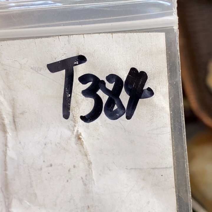 老***童怡铄直播间家居饰品专属链接