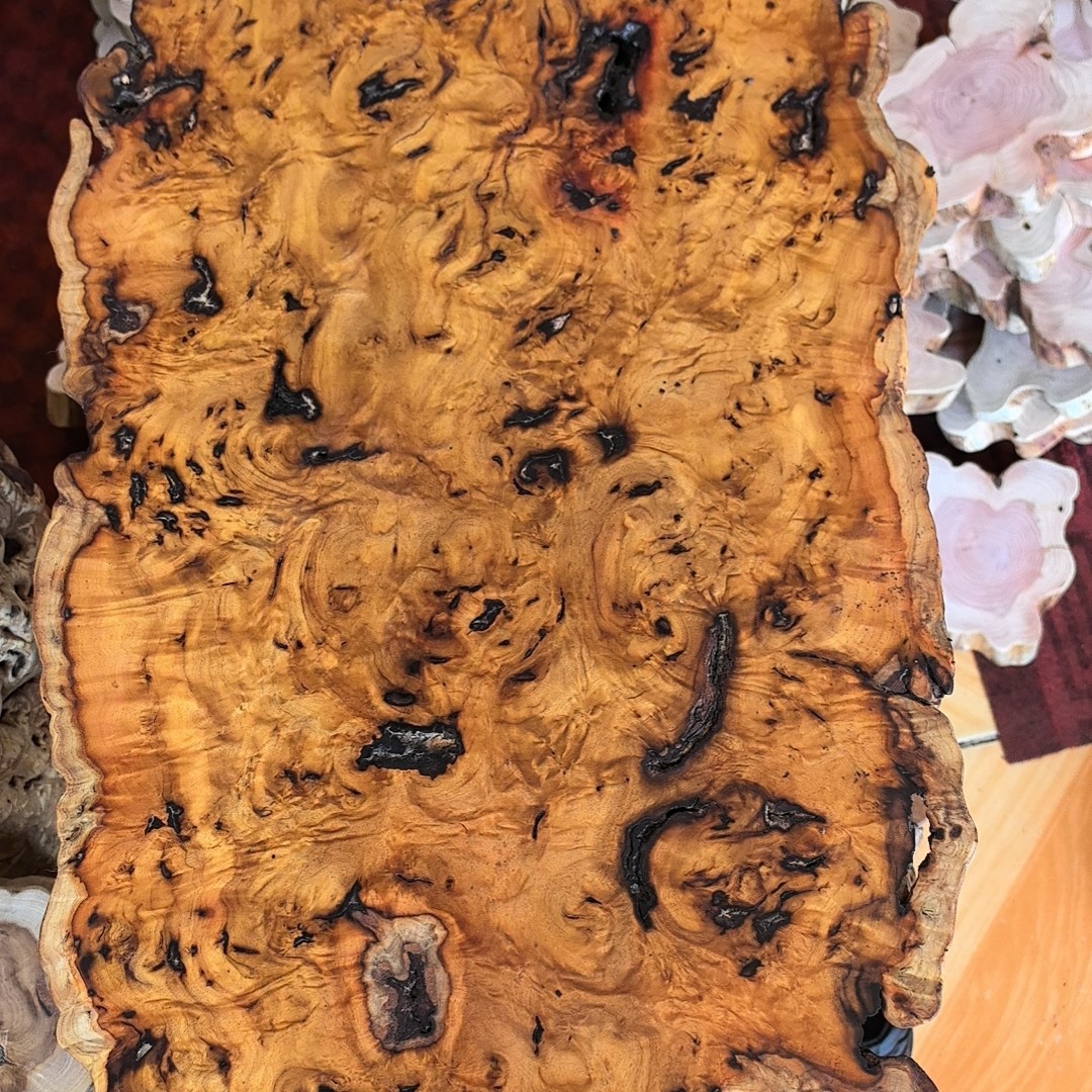 雷击枣木墩枣木片子  直播间一物一拍