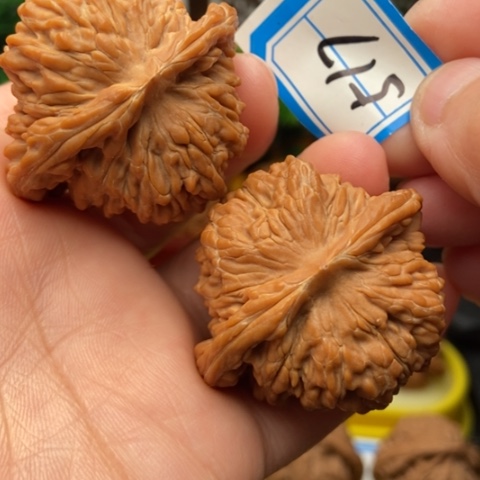 文玩核桃吊坠蓟县楼42.6