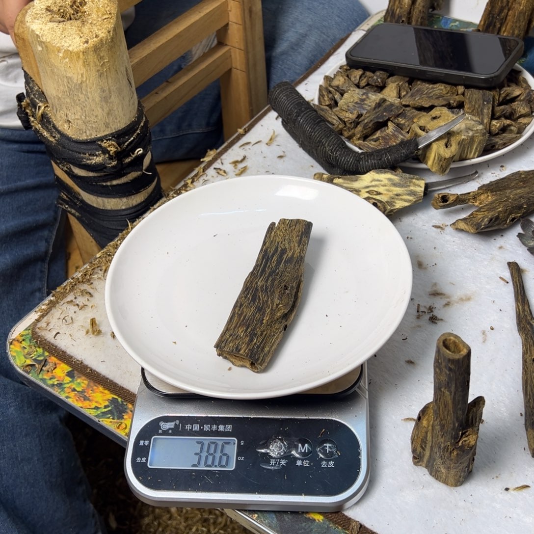 线香奇楠虫漏香38克