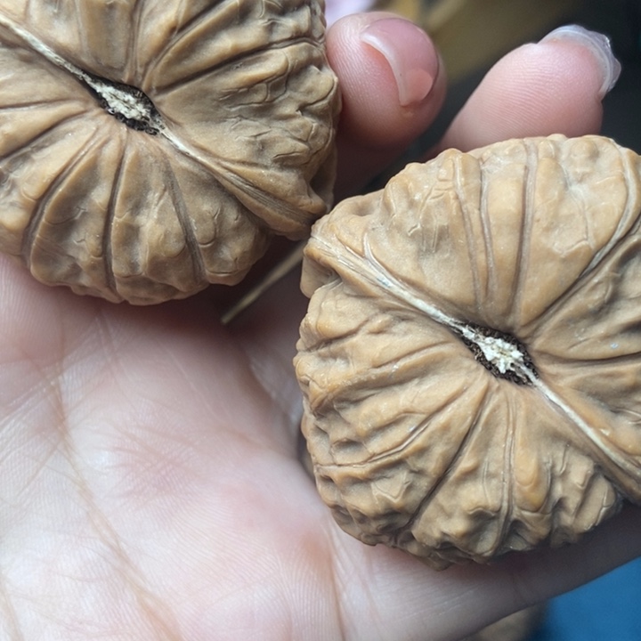 把件文玩核桃43南瓜墩