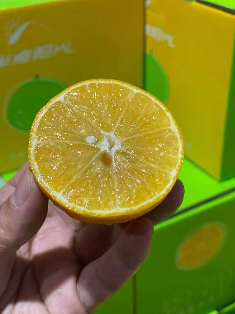 云南玲珑蜜柑【个头小，甜度高，风味足，中通包邮】