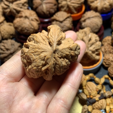 核桃快***恼官帽单只异形