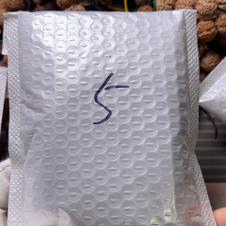 金刚菩提吊坠5号金刚