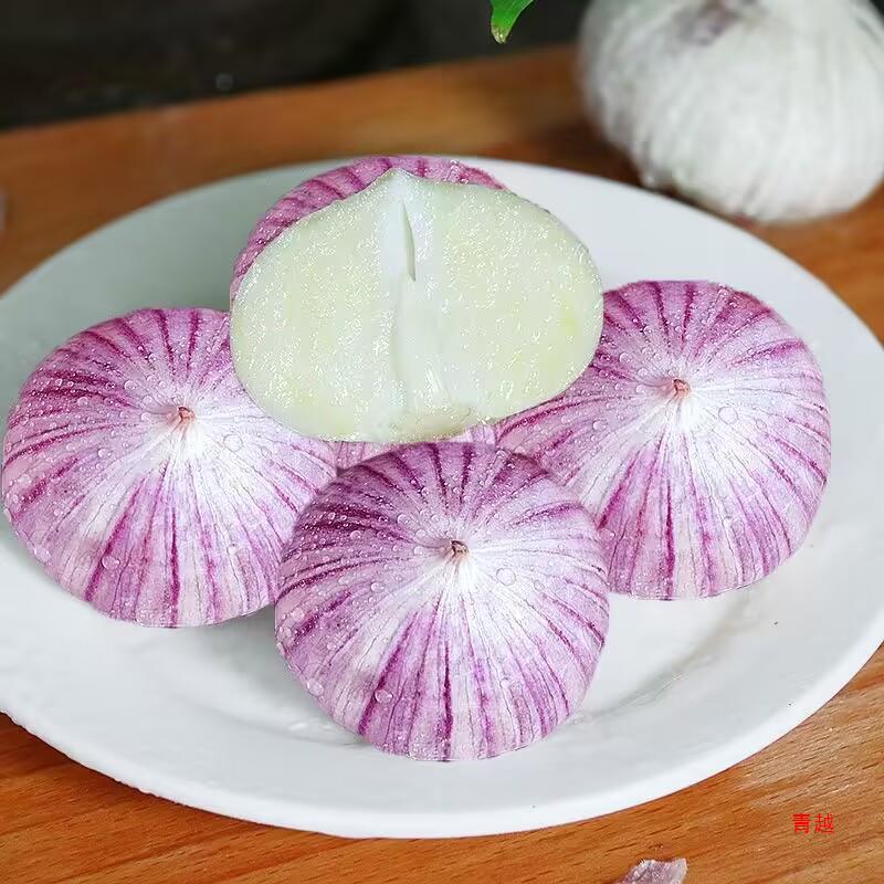 鲜辣圆头蒜四季种子可盆栽阳台种植