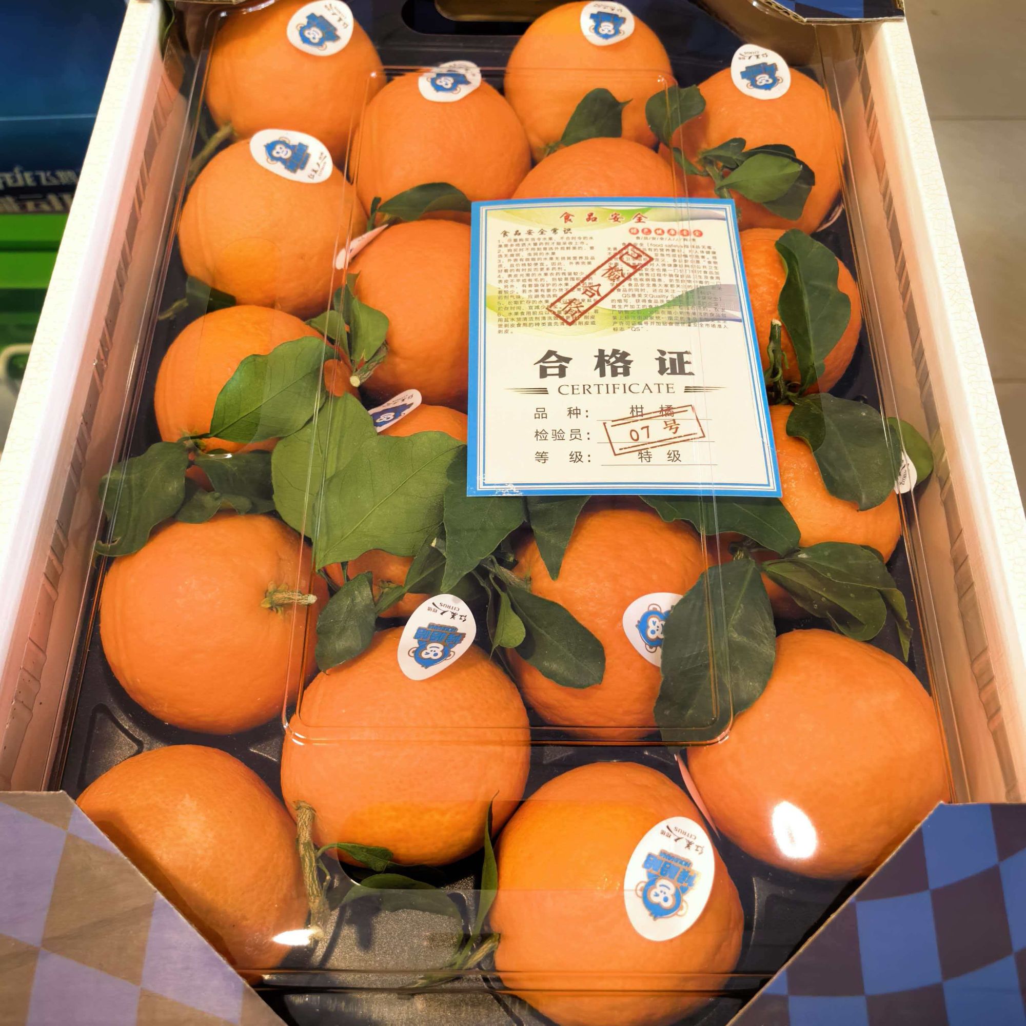 红美人橙子一箱