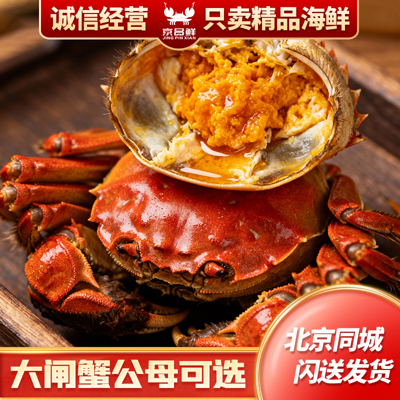 大闸蟹公母 公的有膏 母的有黄 单只1.8两~6两 活蟹现发90g-300g