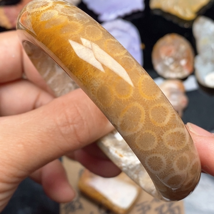 硅化珊瑚（珊瑚玉）手镯未镶嵌62.3